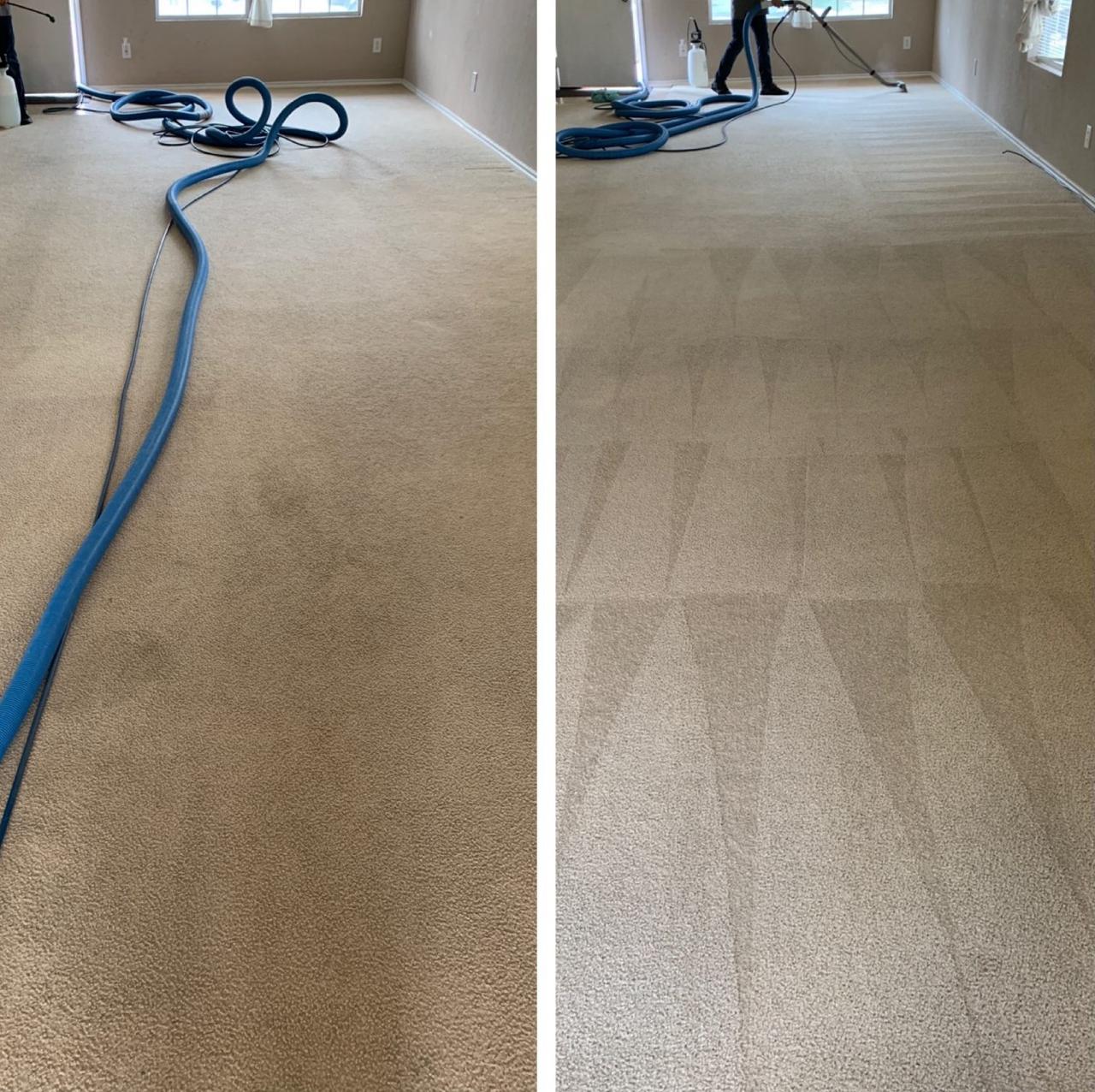 Carpet Cleaning Before and After